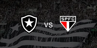 Botafogo vs. Cruzeiro - Estadio Olímpico Nilton Santos