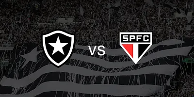 Botafogo vs. Cruzeiro - Estadio Olímpico Nilton Santos