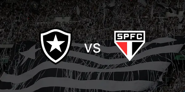 Botafogo vs. Cruzeiro - Estadio Olímpico Nilton Santos